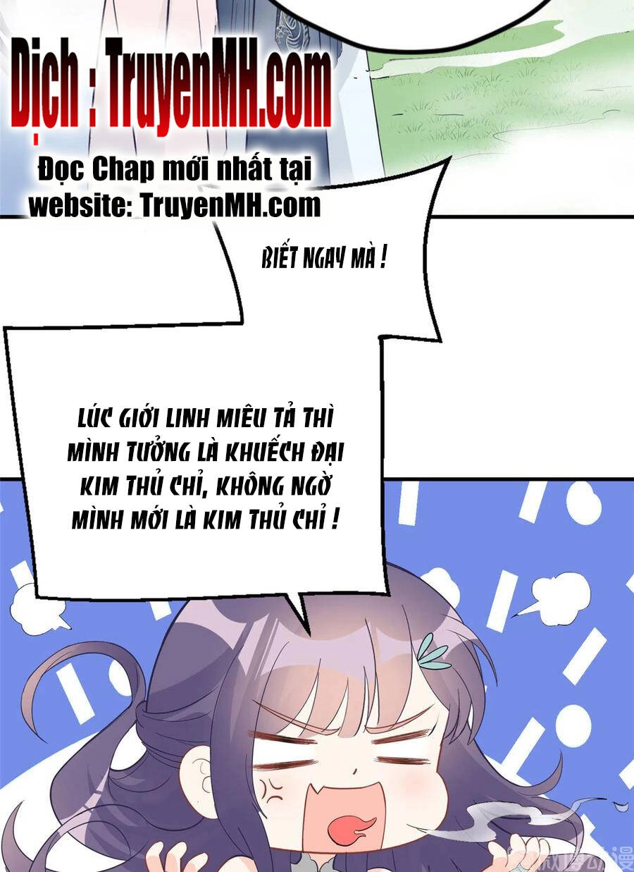 Đồ Đệ Nhà Ta Lại Quải Rồi Chapter 300 - 9