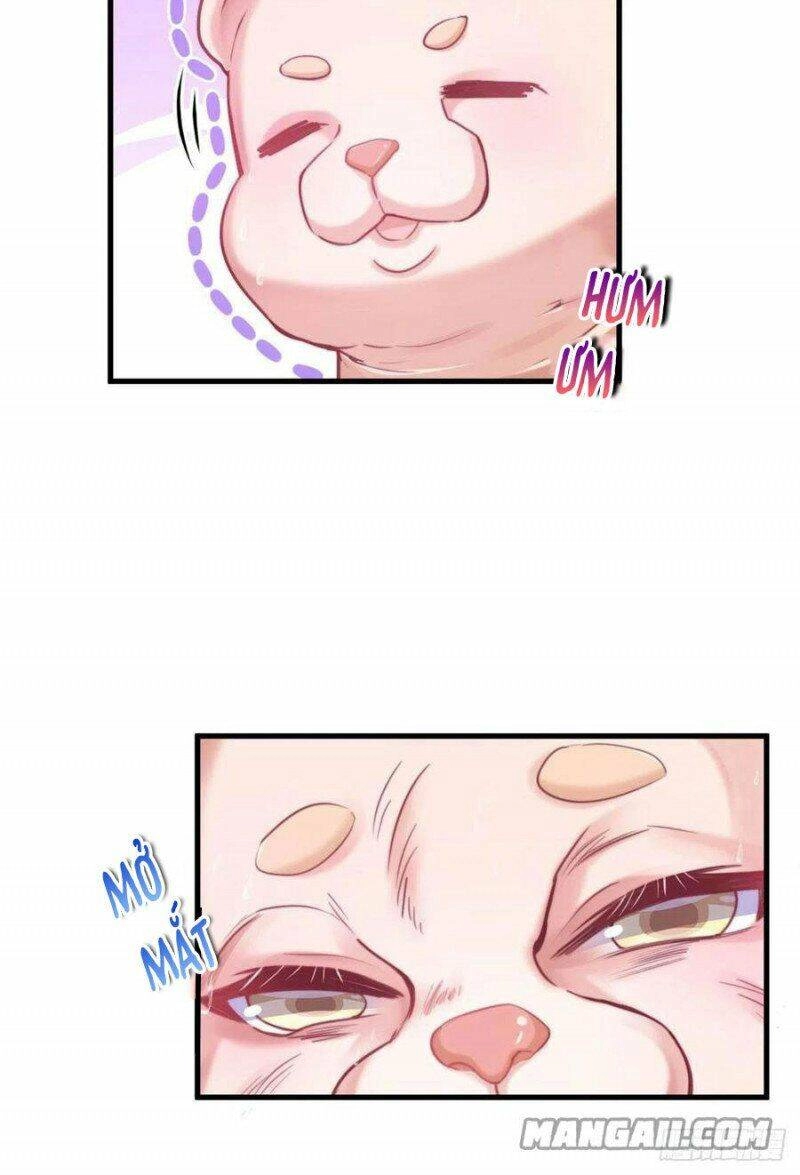 Thảnh Thơi Thú Thế Chủng Chủng Điền, Sinh Sinh Tể - Update Chapter 205 - 13