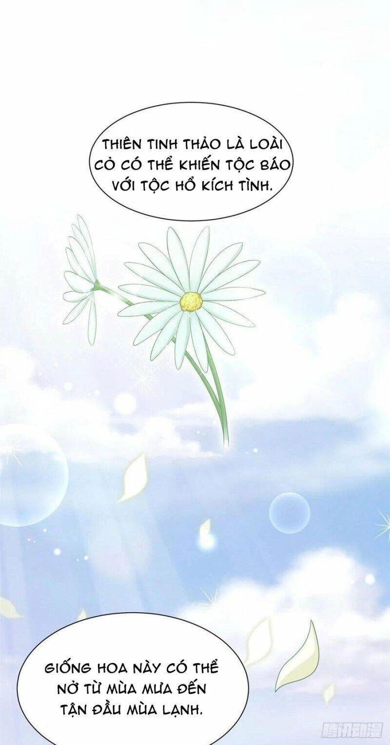 Thảnh Thơi Thú Thế Chủng Chủng Điền, Sinh Sinh Tể - Update Chapter 251 - 2