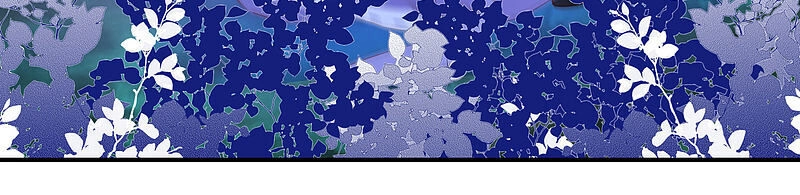 Nghịch Thiên Độc Phi Chapter 5 - 23