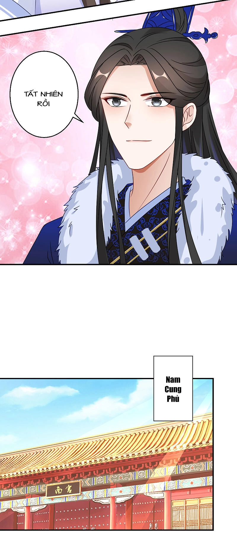 Nghịch Thiên Độc Phi Chapter 8 - 19