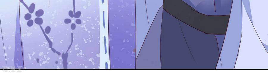 Nghịch Thiên Độc Phi Chapter 42 - 13