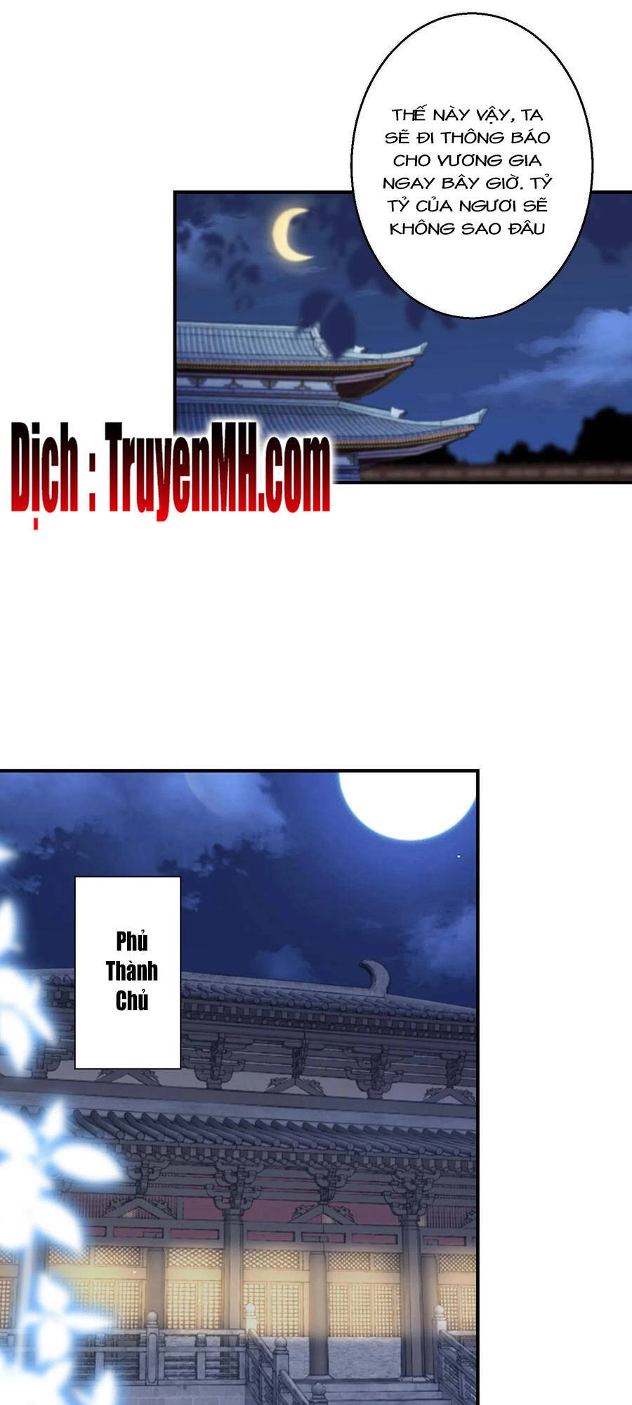 Nghịch Thiên Độc Phi Chapter 46 - 12