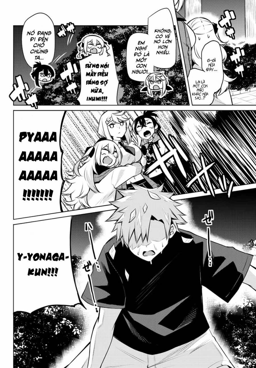 Nàng Trộm Chapter 27 - 11