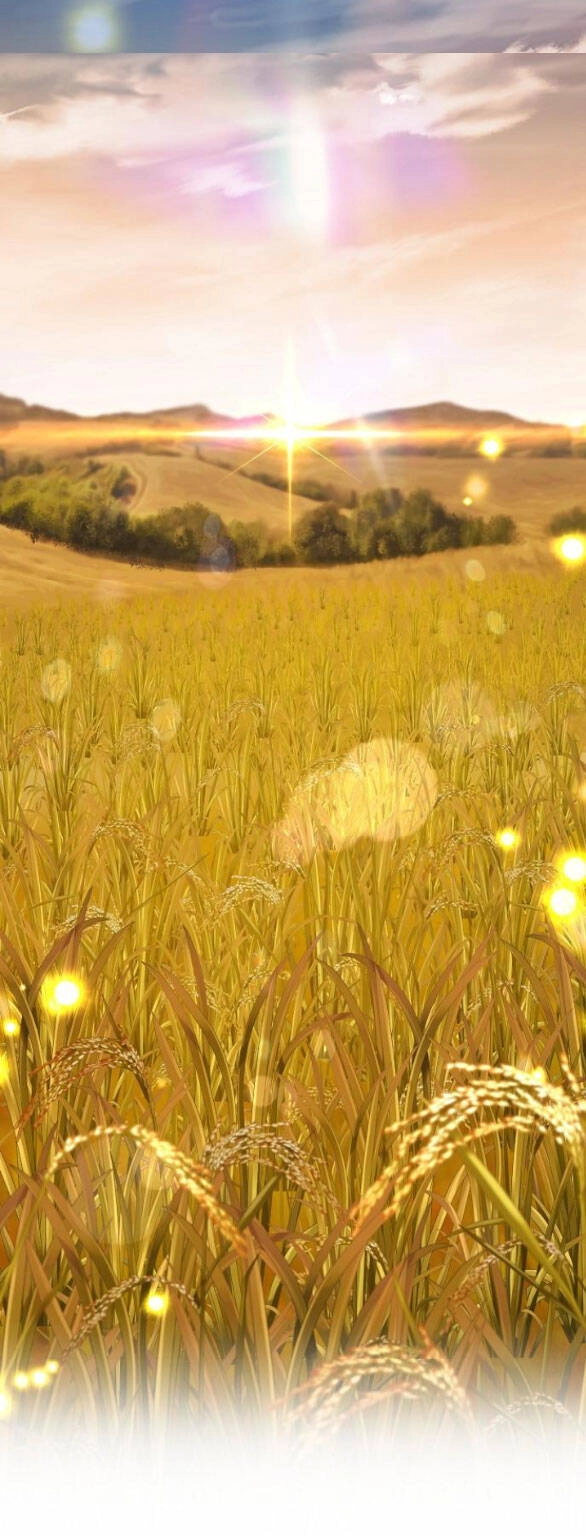 Thời Đại Của Oman Chapter 11.2 - 25