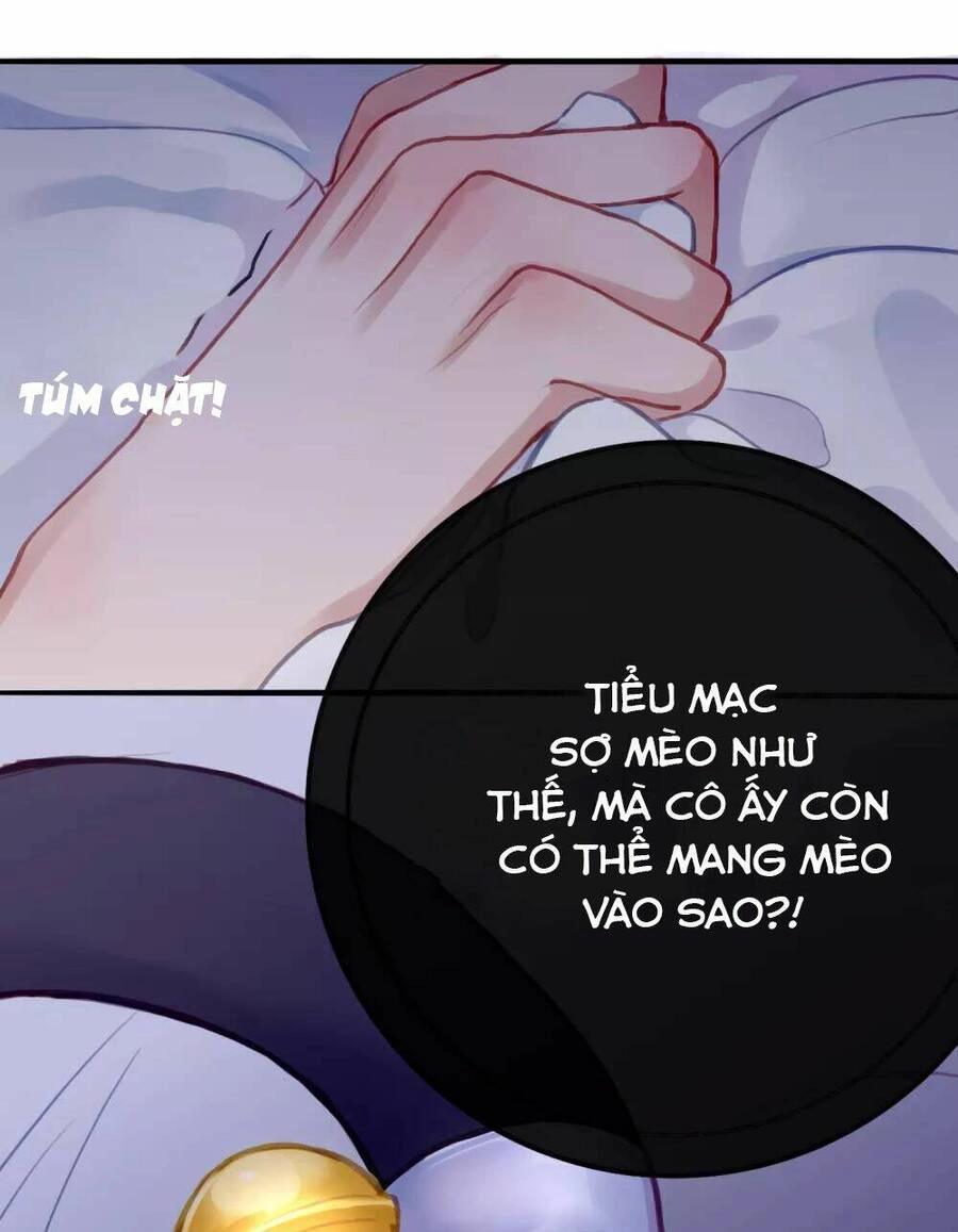 Quy Luật Tình Yêu Chapter 5 - 6