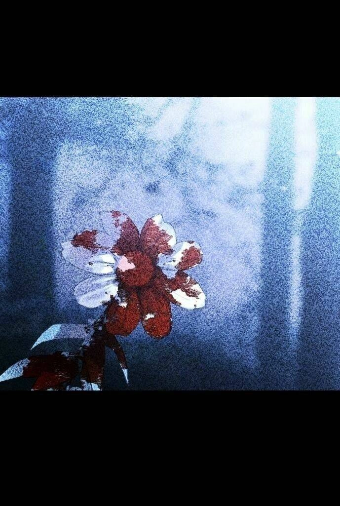 Tôi Muốn Trở Thành Cô Ấy Chỉ Một Ngày Chapter 38 - 1