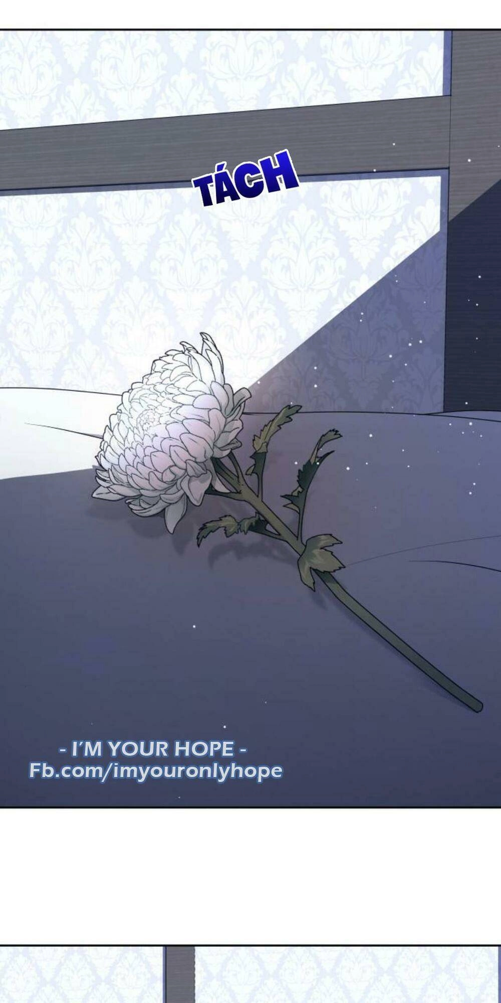 Tôi Muốn Trở Thành Cô Ấy Chỉ Một Ngày Chapter 70 - 2