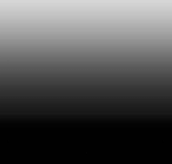 Tôi Muốn Trở Thành Cô Ấy Chỉ Một Ngày Chapter 154.1 - 28