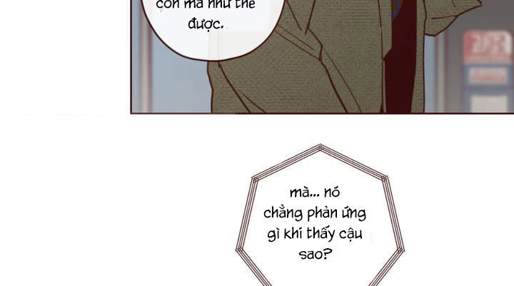 Vận Mệnh Không Mắc Sai Lầm Chapter 1 - 24