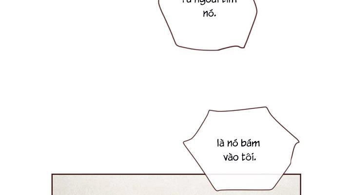 Vận Mệnh Không Mắc Sai Lầm Chapter 1 - 26