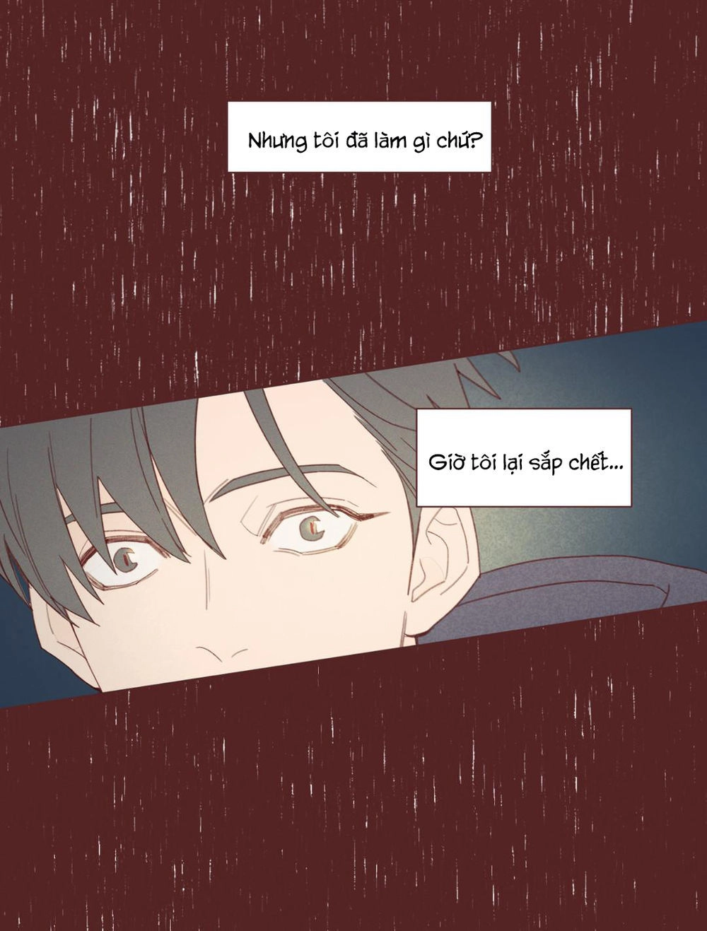 Vận Mệnh Không Mắc Sai Lầm Chapter 2 - 8