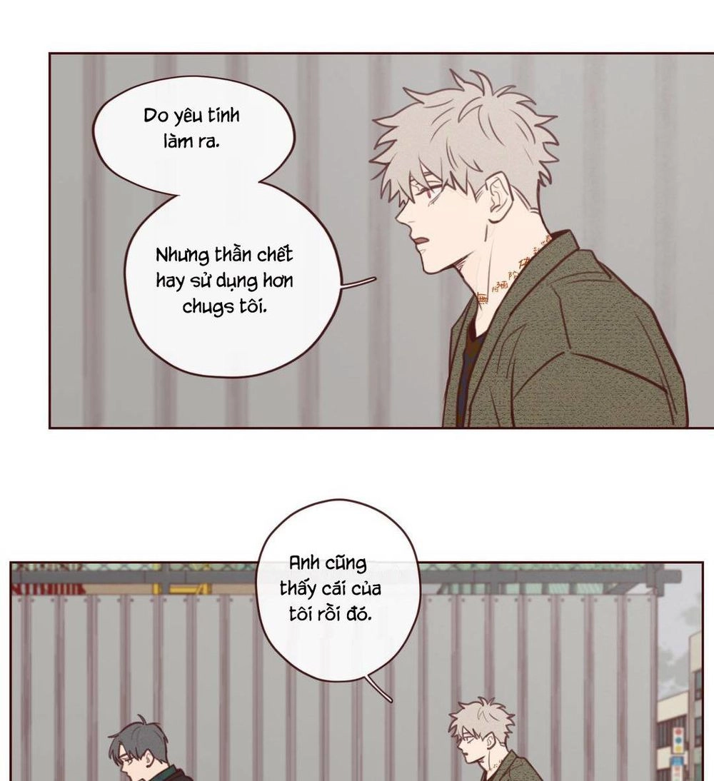 Vận Mệnh Không Mắc Sai Lầm Chapter 5 - 30