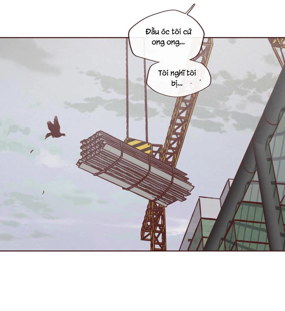 Vận Mệnh Không Mắc Sai Lầm Chapter 5 - 37