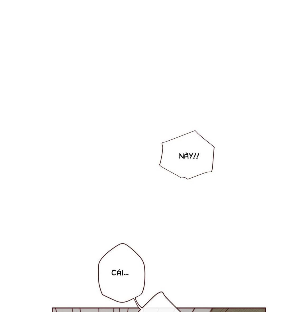 Vận Mệnh Không Mắc Sai Lầm Chapter 5 - 44