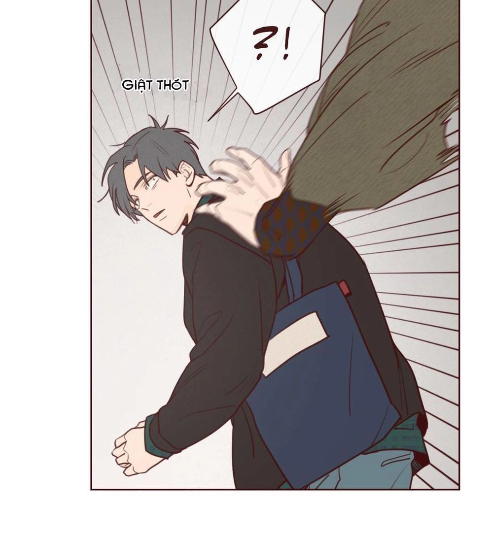 Vận Mệnh Không Mắc Sai Lầm Chapter 5 - 45