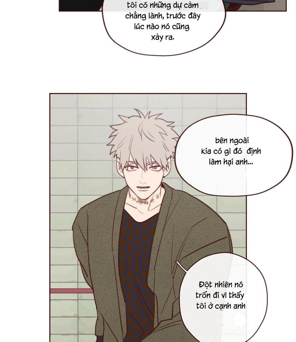 Vận Mệnh Không Mắc Sai Lầm Chapter 5 - 55