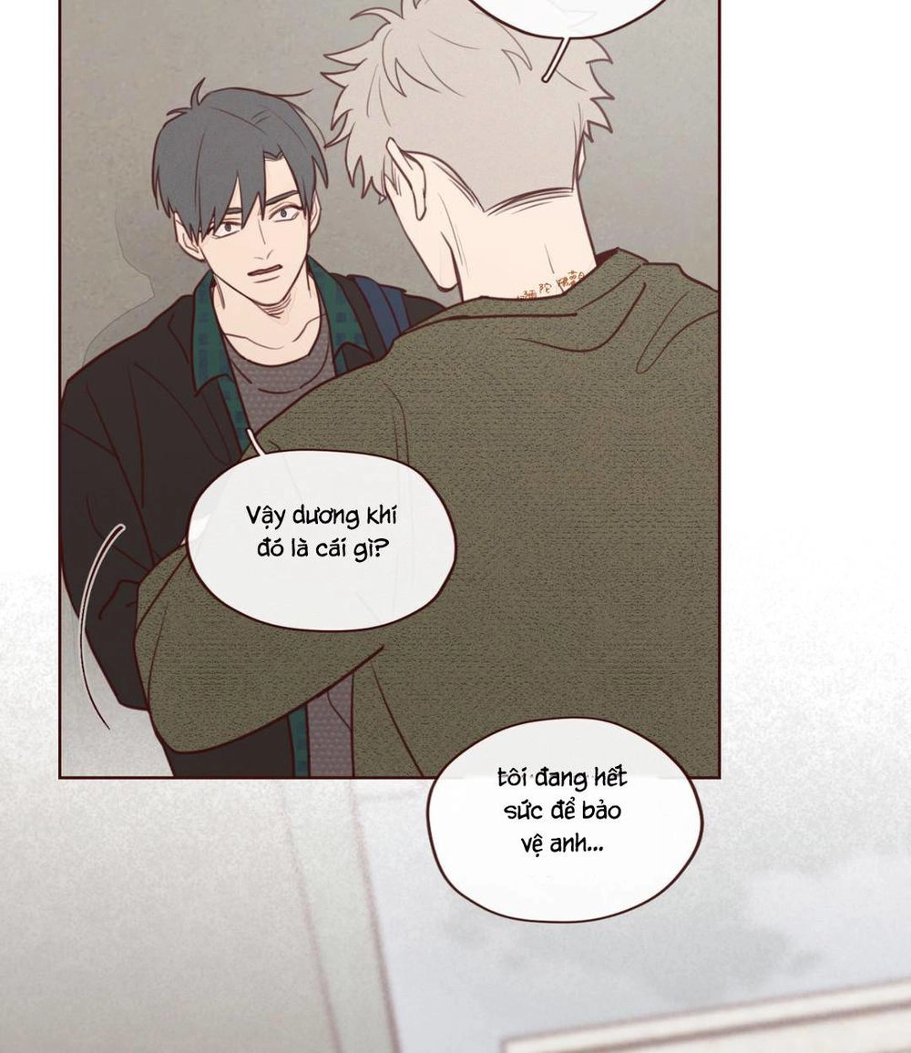 Vận Mệnh Không Mắc Sai Lầm Chapter 5 - 58