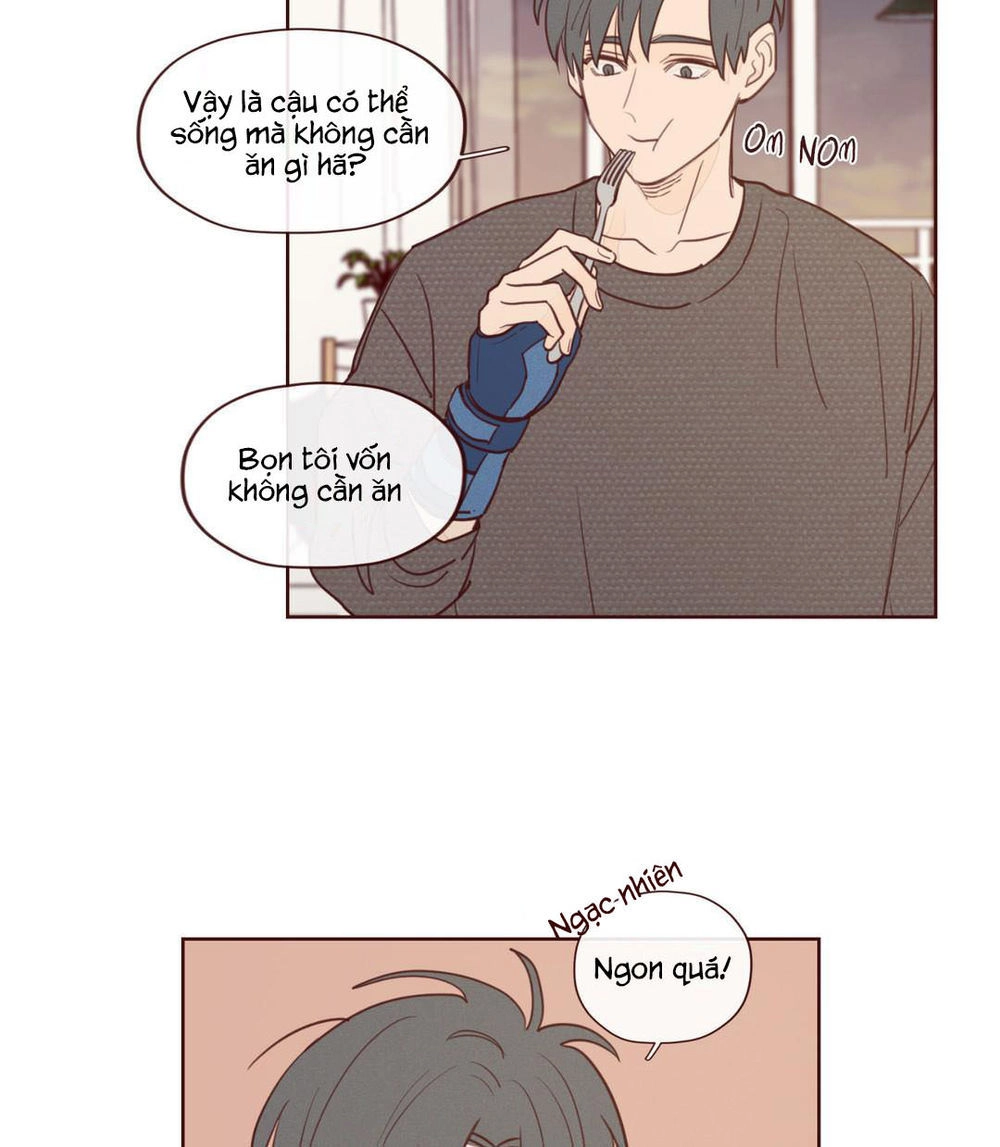 Vận Mệnh Không Mắc Sai Lầm Chapter 8 - 16