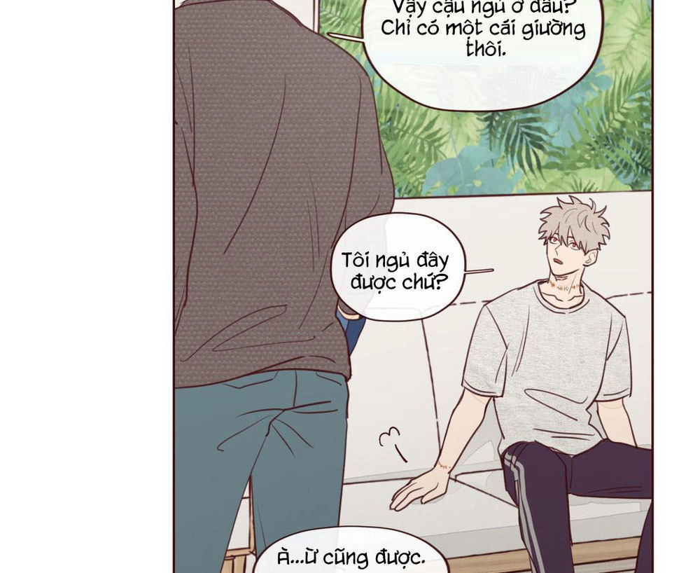 Vận Mệnh Không Mắc Sai Lầm Chapter 8 - 28