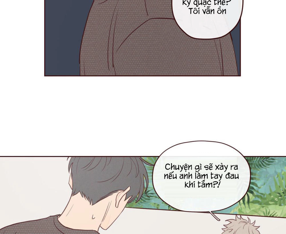 Vận Mệnh Không Mắc Sai Lầm Chapter 8 - 30