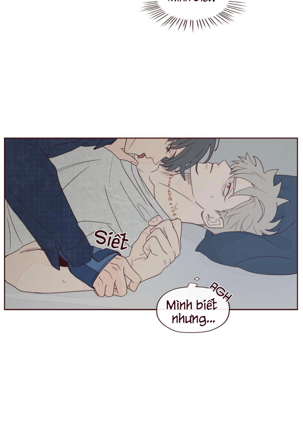 Vận Mệnh Không Mắc Sai Lầm Chapter 9 - 19