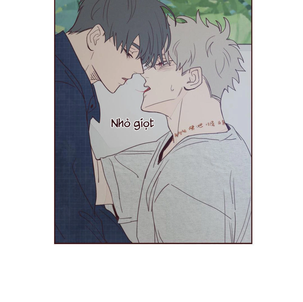 Vận Mệnh Không Mắc Sai Lầm Chapter 9 - 27