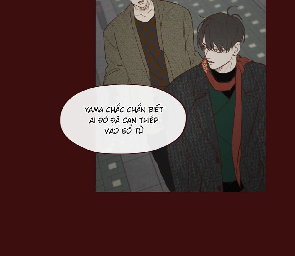 Vận Mệnh Không Mắc Sai Lầm Chapter 12 - 25