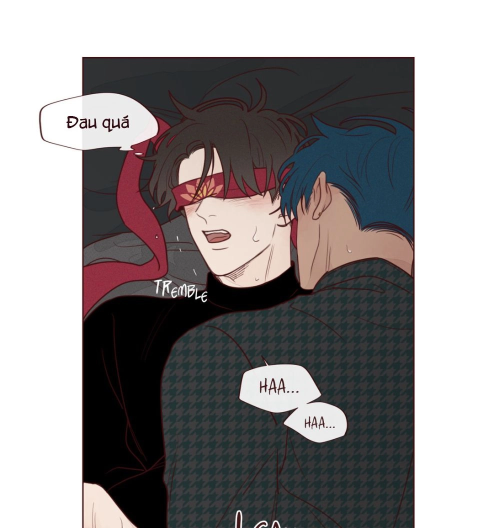 Vận Mệnh Không Mắc Sai Lầm Chapter 13 - 25