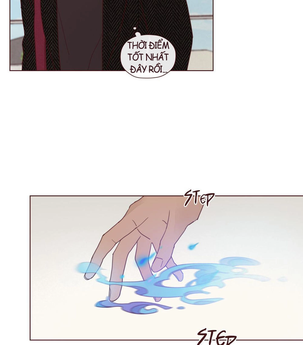 Vận Mệnh Không Mắc Sai Lầm Chapter 14 - 12