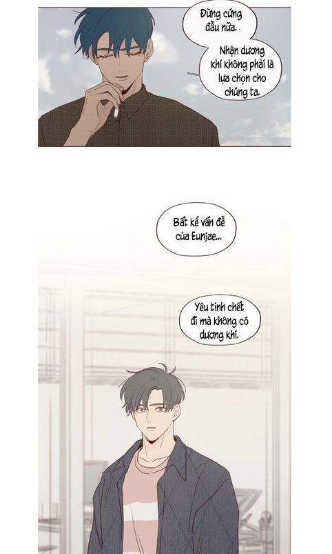 Vận Mệnh Không Mắc Sai Lầm Chapter 16 - 10