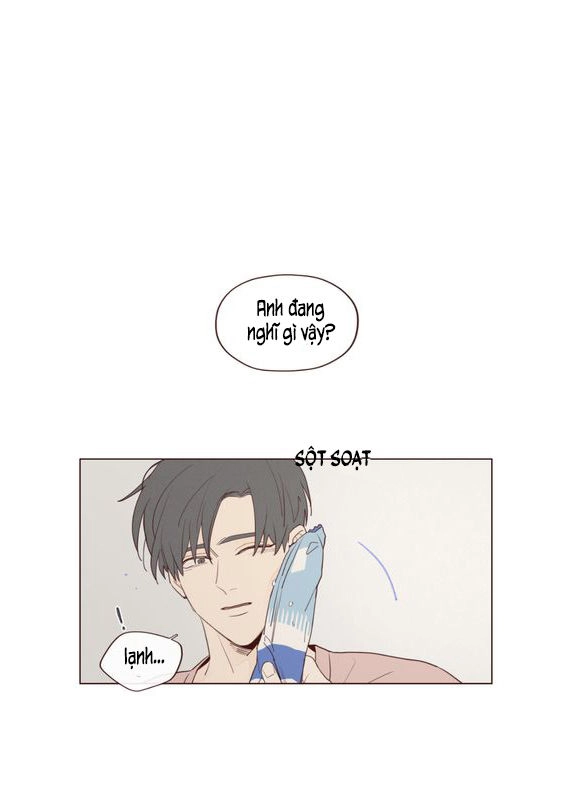 Vận Mệnh Không Mắc Sai Lầm Chapter 16 - 15