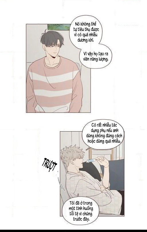 Vận Mệnh Không Mắc Sai Lầm Chapter 16 - 24