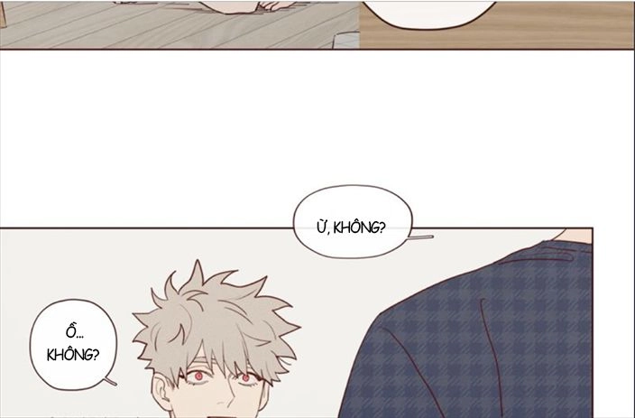 Vận Mệnh Không Mắc Sai Lầm Chapter 17 - 11