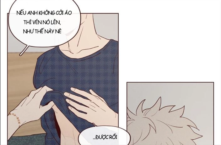 Vận Mệnh Không Mắc Sai Lầm Chapter 17 - 17