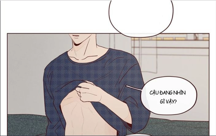 Vận Mệnh Không Mắc Sai Lầm Chapter 17 - 19