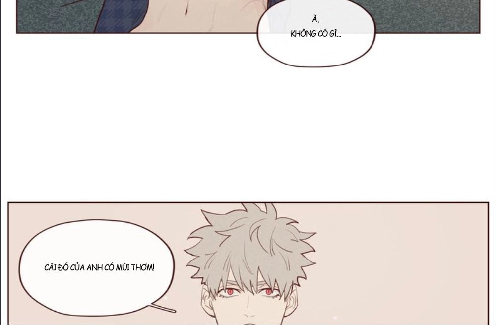 Vận Mệnh Không Mắc Sai Lầm Chapter 17 - 20