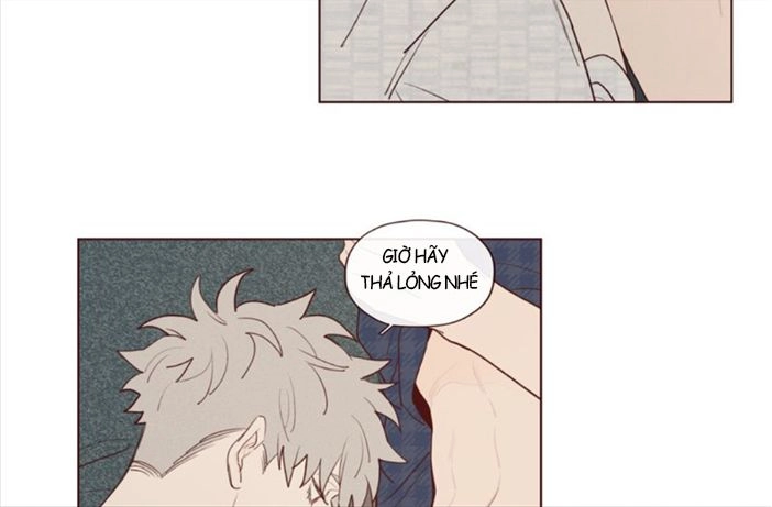 Vận Mệnh Không Mắc Sai Lầm Chapter 17 - 23