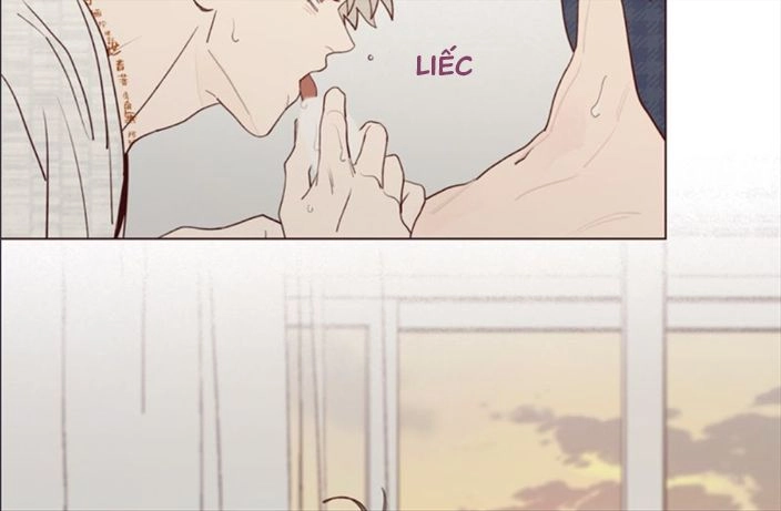 Vận Mệnh Không Mắc Sai Lầm Chapter 17 - 27