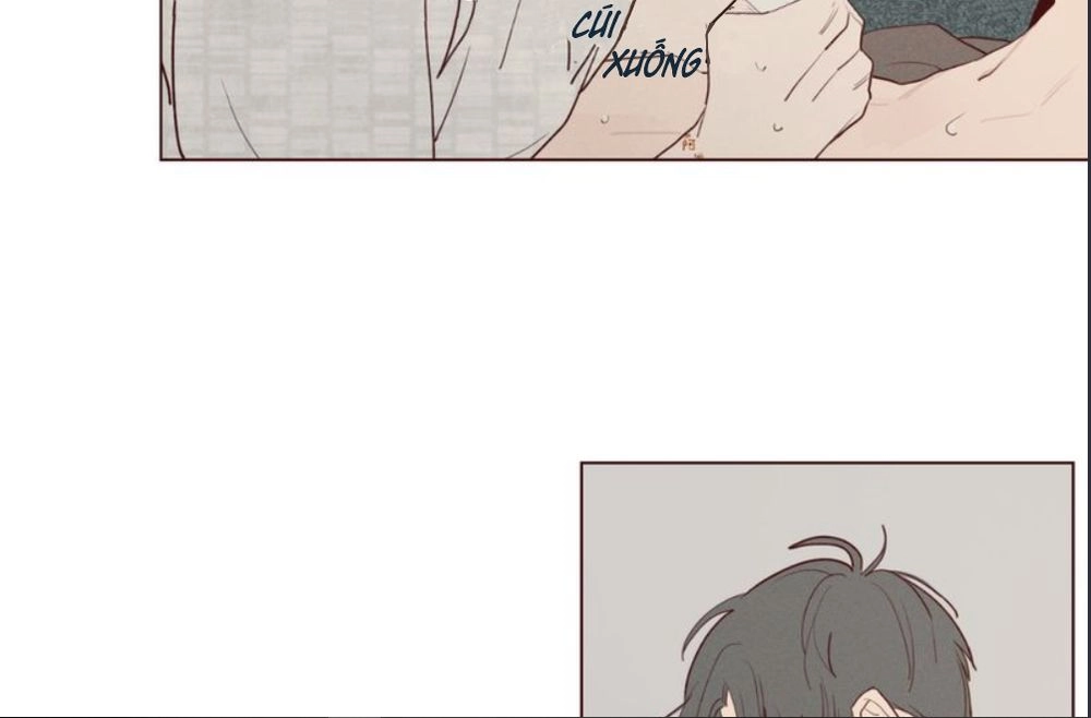 Vận Mệnh Không Mắc Sai Lầm Chapter 17 - 30