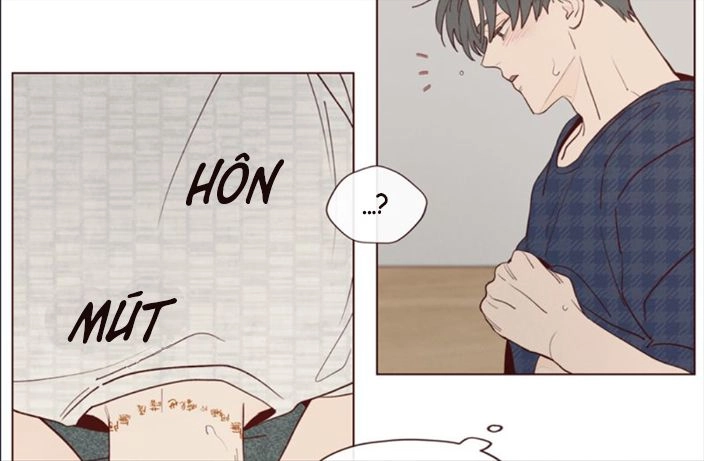 Vận Mệnh Không Mắc Sai Lầm Chapter 17 - 31