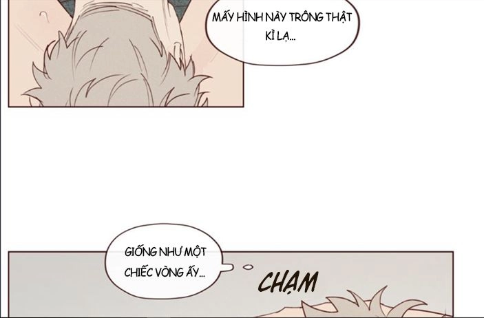 Vận Mệnh Không Mắc Sai Lầm Chapter 17 - 32