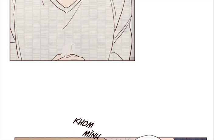 Vận Mệnh Không Mắc Sai Lầm Chapter 17 - 41