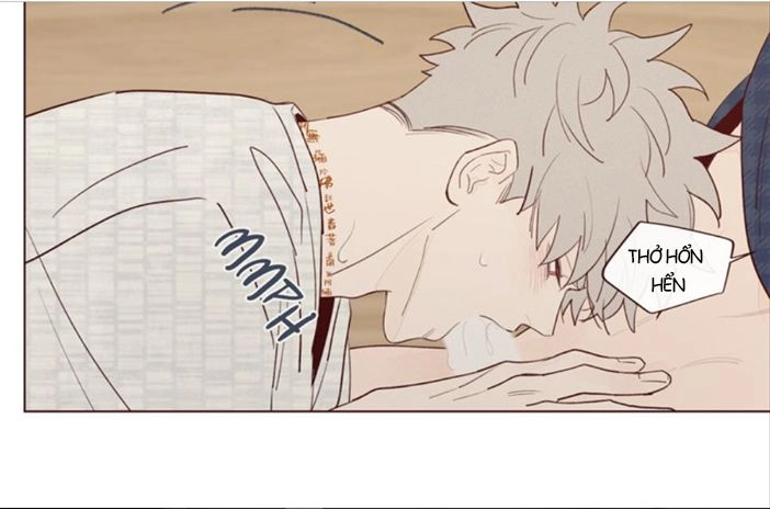 Vận Mệnh Không Mắc Sai Lầm Chapter 17 - 43