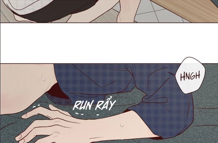 Vận Mệnh Không Mắc Sai Lầm Chapter 17 - 49