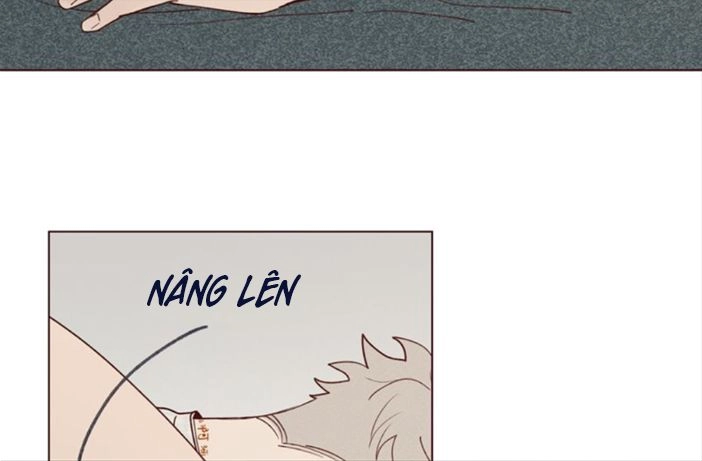 Vận Mệnh Không Mắc Sai Lầm Chapter 17 - 50