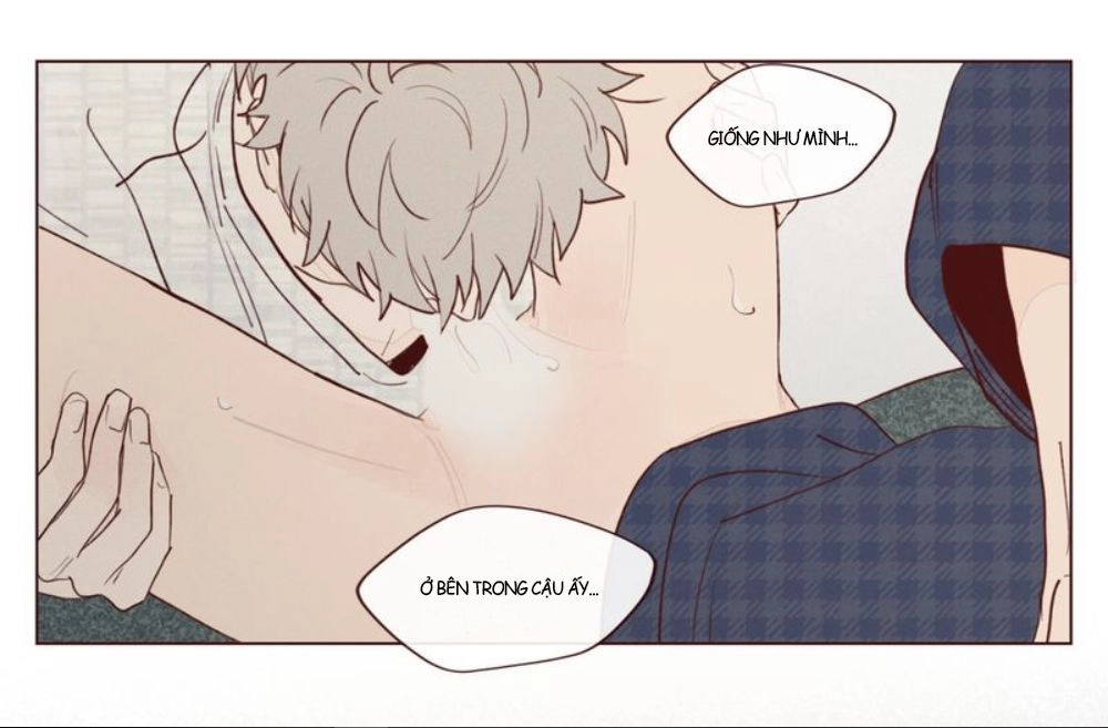 Vận Mệnh Không Mắc Sai Lầm Chapter 17 - 54