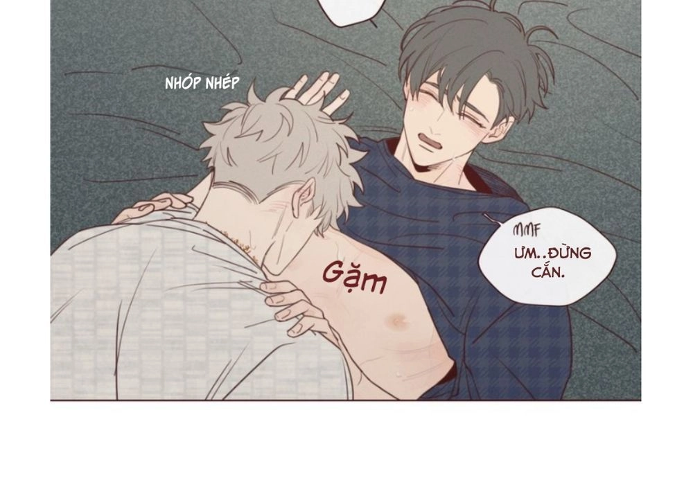 Vận Mệnh Không Mắc Sai Lầm Chapter 18 - 6