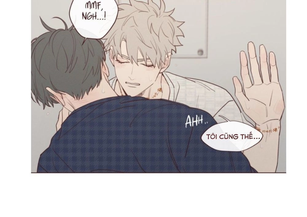 Vận Mệnh Không Mắc Sai Lầm Chapter 18 - 8