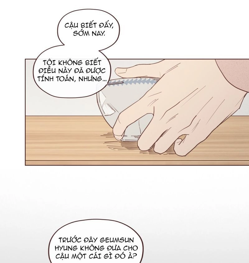 Vận Mệnh Không Mắc Sai Lầm Chapter 19 - 8